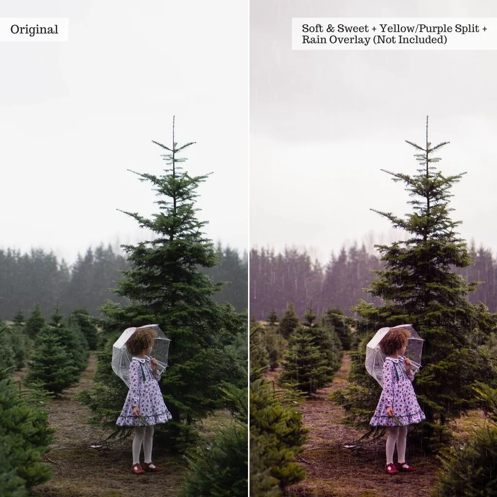 Buds & Blooms Spring Lightroom Presets – Desktop & Mobile