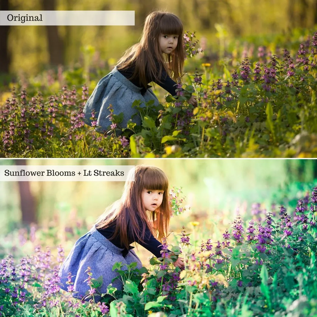 Buds & Blooms Spring Lightroom Presets – Desktop & Mobile