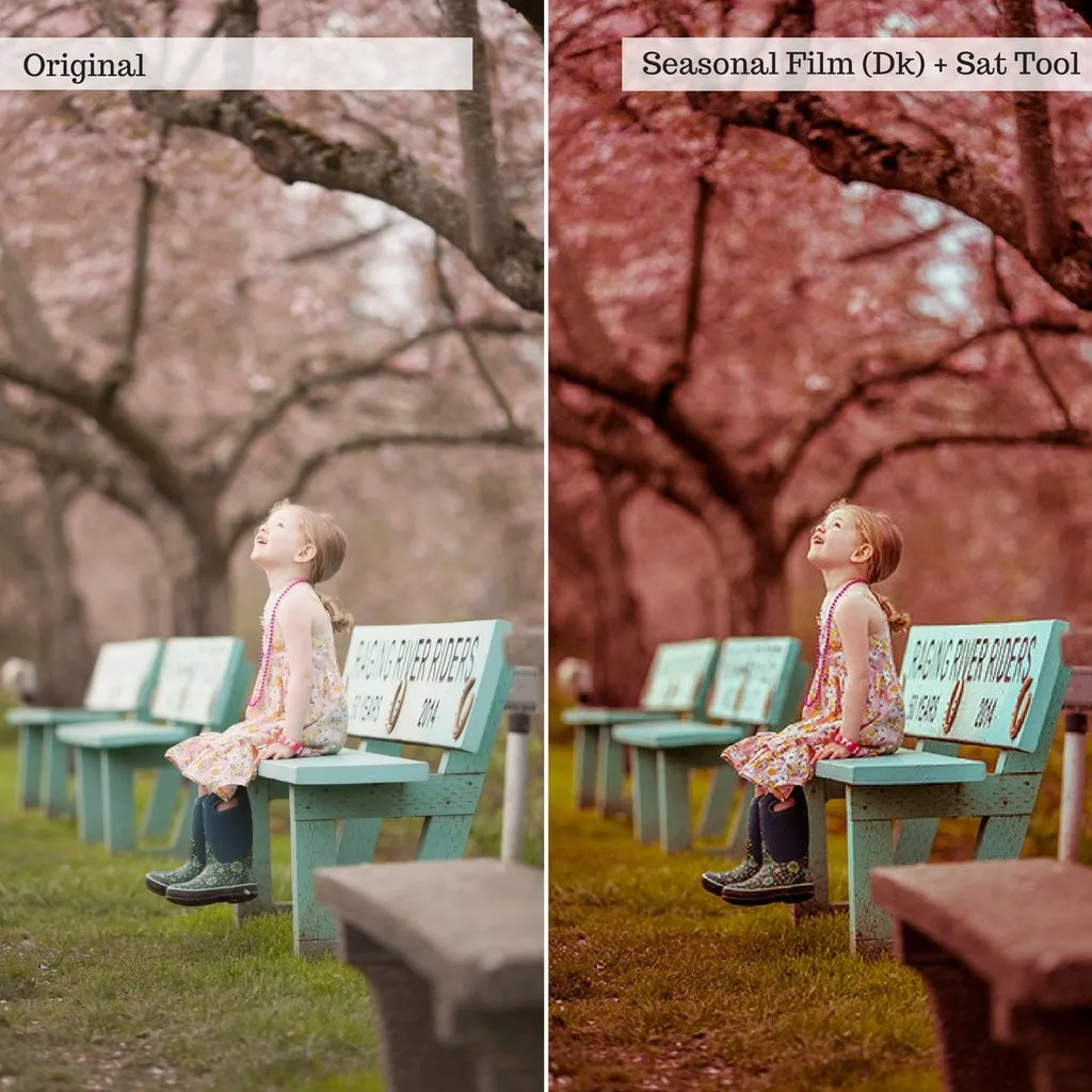 Buds & Blooms Spring Lightroom Presets – Desktop & Mobile