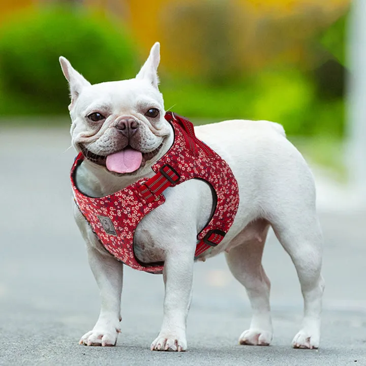 Floral Doggy Harness Red XS