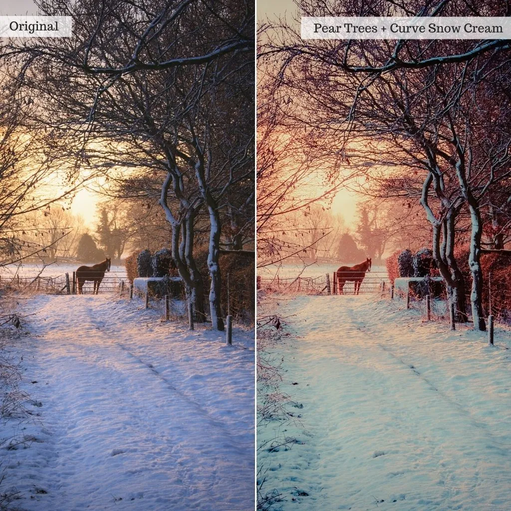 Log Cabin - Winter Lightroom Presets – Desktop & Mobile