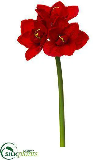 Silk Plants Direct Amaryllis Spray - Burgundy Two Tone - Pack of 12