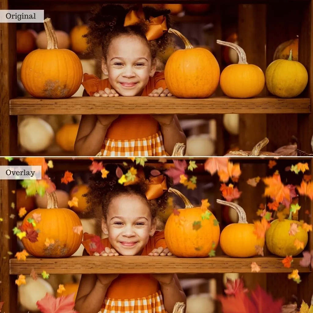 Sip of Cider - Autumn Lightroom Presets – Desktop & Mobile