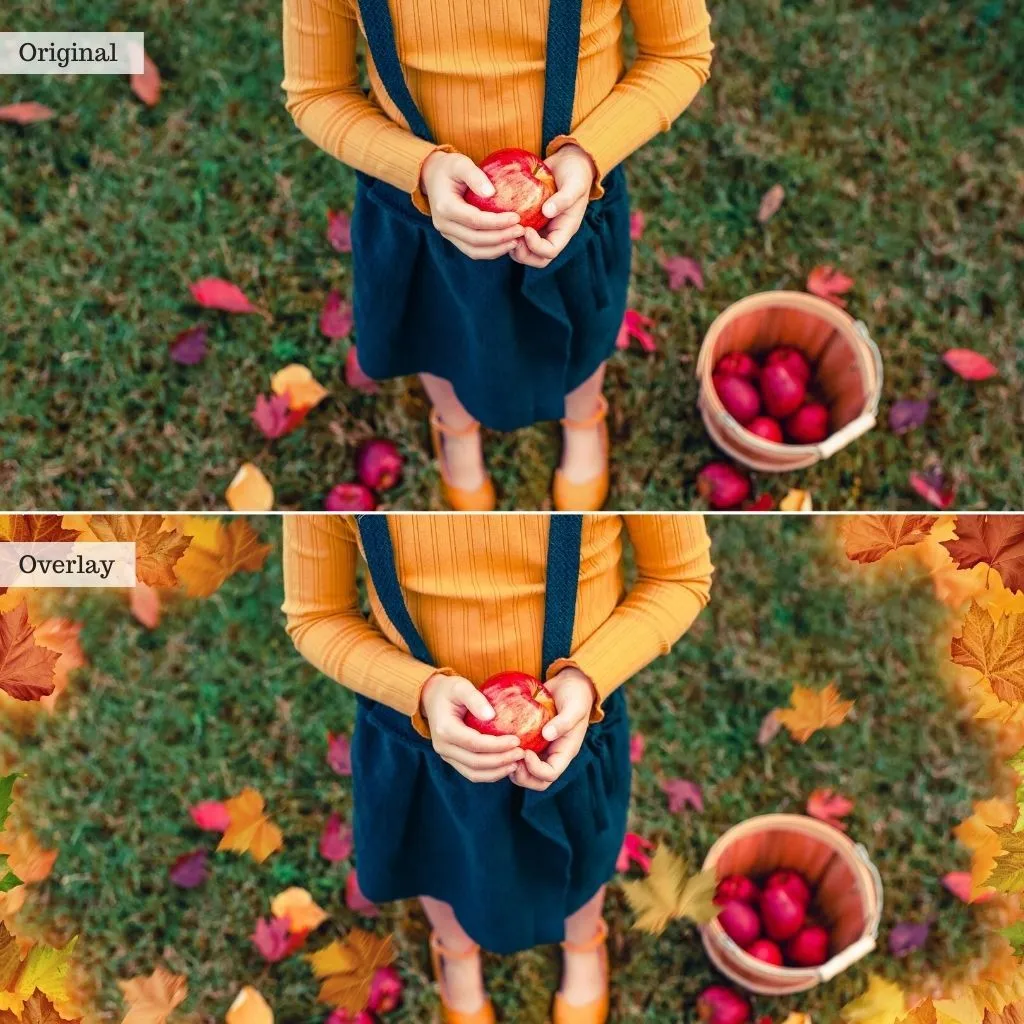 Sip of Cider - Autumn Lightroom Presets – Desktop & Mobile