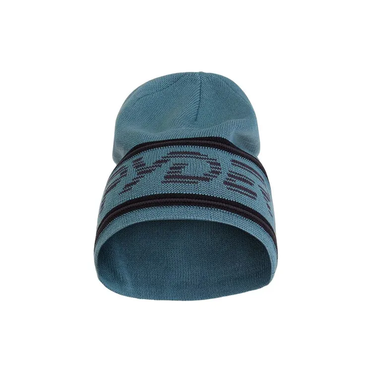 Spyder Retro Logo Hat