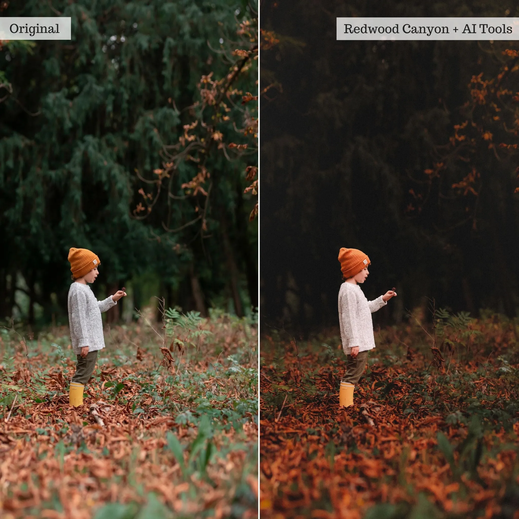 Sweater Weather v2.0 Lightroom Presets & AI Tools